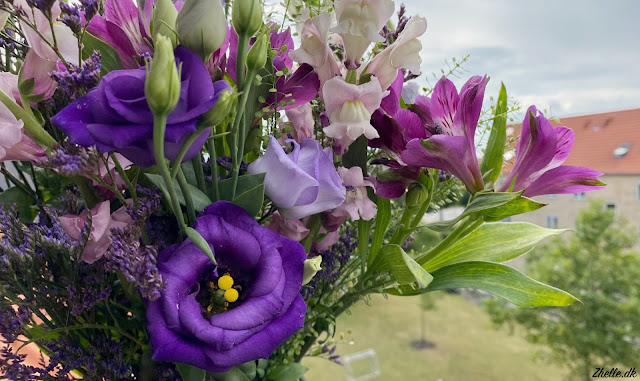 A bouquet of purple flowers and in the background there are grey clouds, a red brick building and a green lawn with a football net.