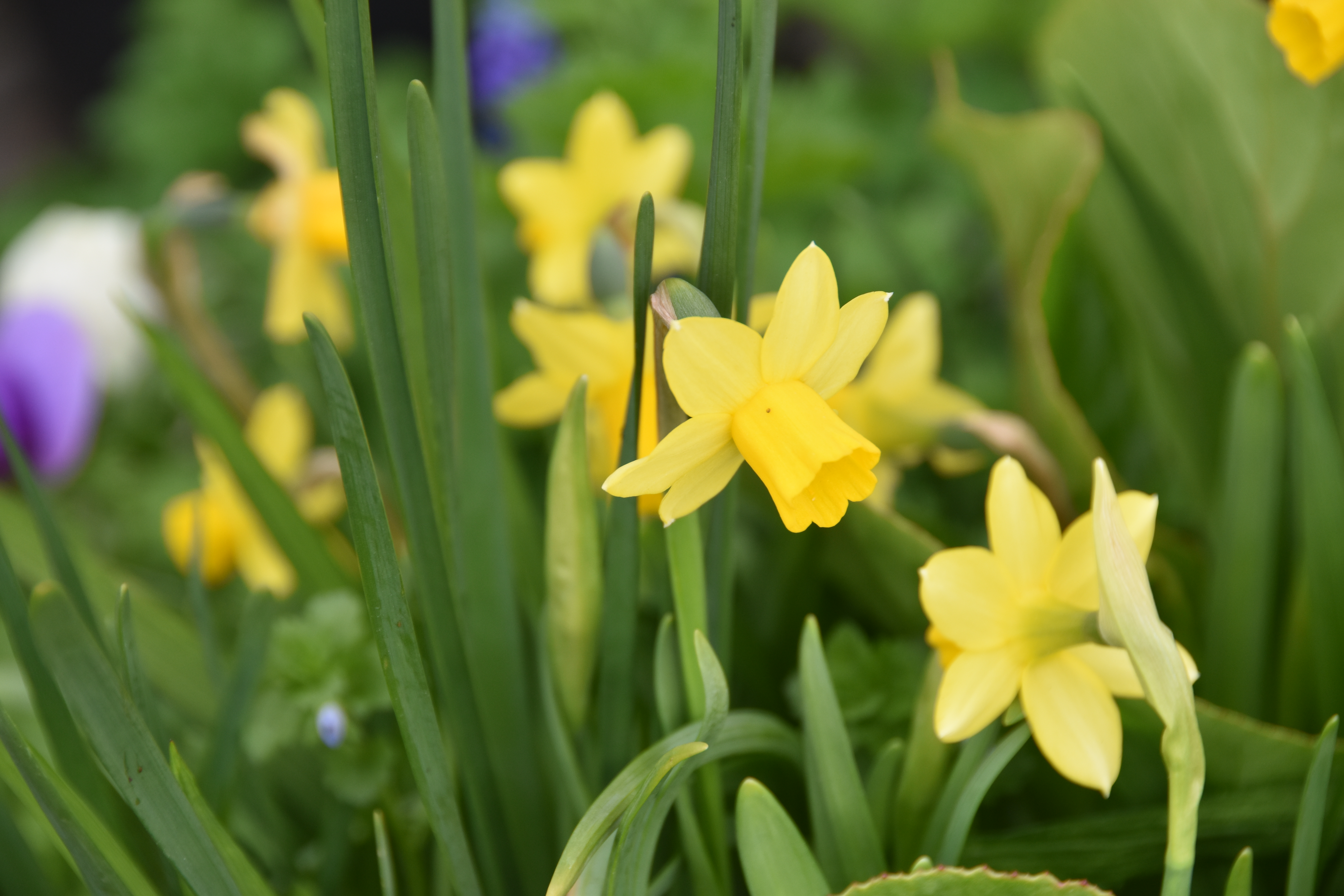 L’attribut alt de cette image est vide, son nom de fichier est DSC_0029.JPG.