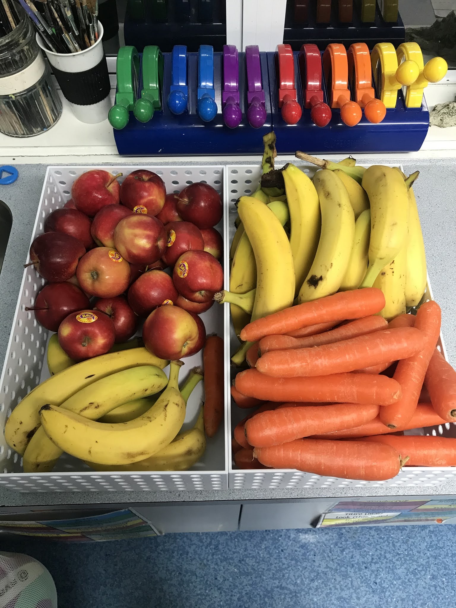 Ōwai19 Ōwairaka District School Fruit in Schools