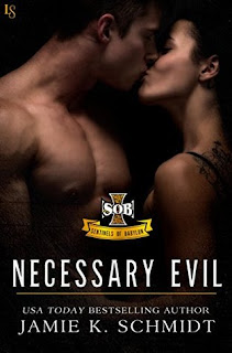 Necessary Evil by Jamie K. Schmidt