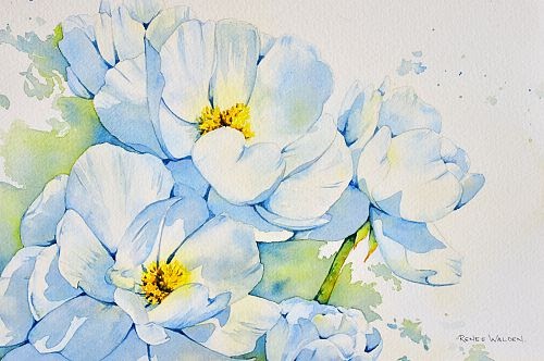 Renee Walden Art - Blog: painting a white flower in watercolour