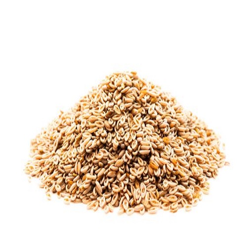 Flohsamenschalen Darmreinigung