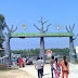 Bangabandhu Safari park, Gazipur ট্যুর প্লান যাতায়াত ও আনুসাংগিক খরচাদি