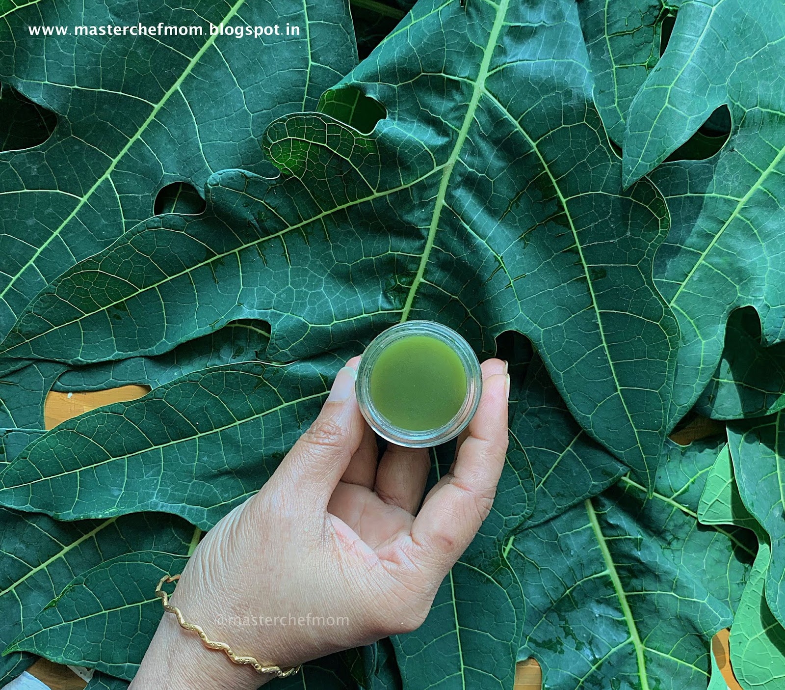 MASTERCHEFMOM How to make Papaya Leaf Juice Papaya Leaf Extract