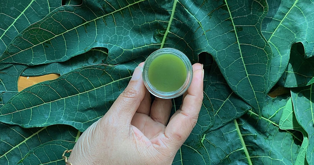 MASTERCHEFMOM How to make Papaya Leaf Juice Papaya Leaf Extract