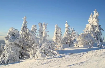 Winter Traum – Gedicht von Camill Hoffmann Winter Traum – Gedicht von Camill Hoffmann