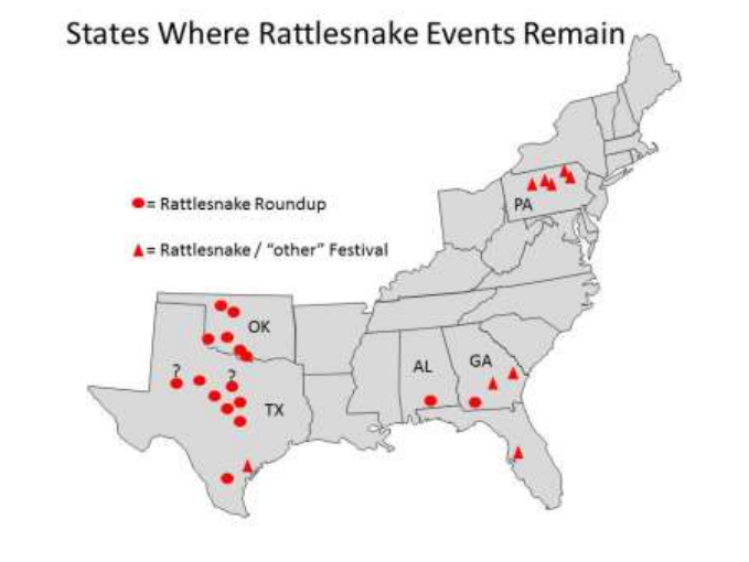 Life is short, but snakes are long Rattlesnake Roundups Revisited