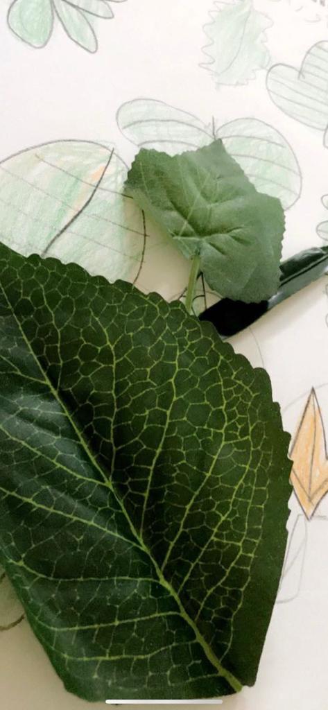 الابتدائية بنات الريان رسم أوراق الشجر