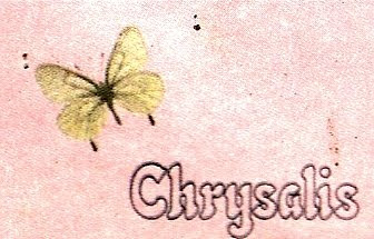 Chrysalis