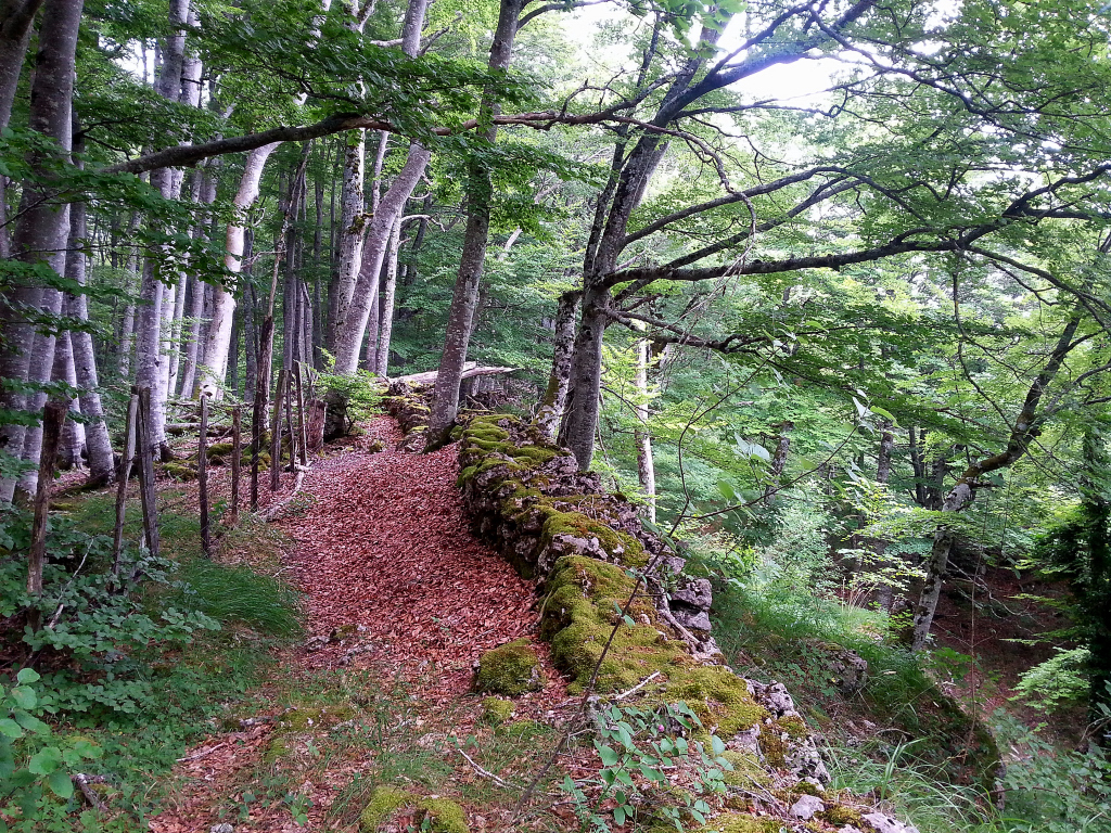 Pto de OpakuaUraskaMorubeRaso de AldanaErmita de San BenitoBosque