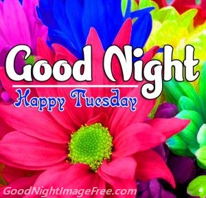 Good Night Tuesday Have a nice day Image