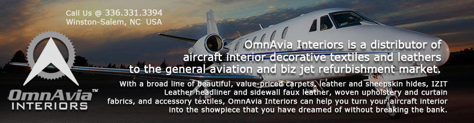 OmnAvia Interiors