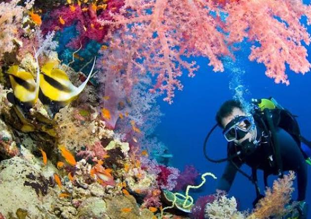 رياضة الغطس