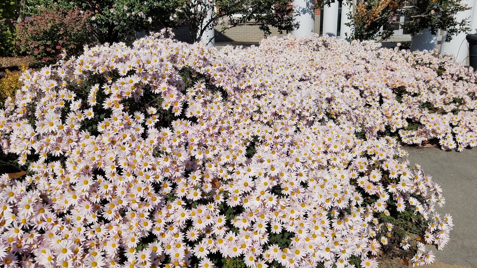 All The Dirt On Gardening