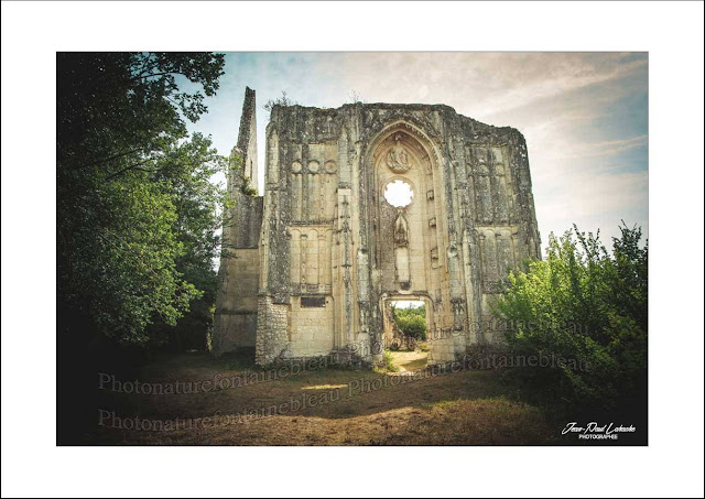 crédit-photo-jean-paul-lahache