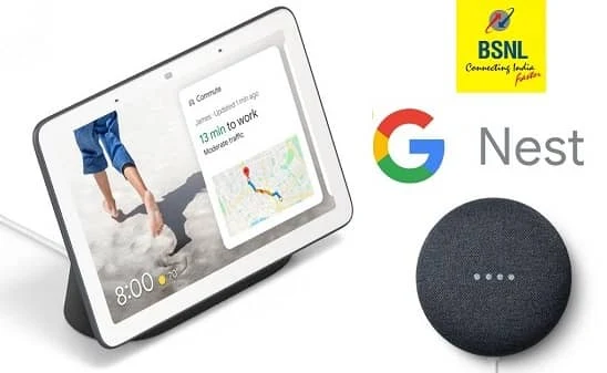 Google Nest Mini and Google Nest Hub Smart devices