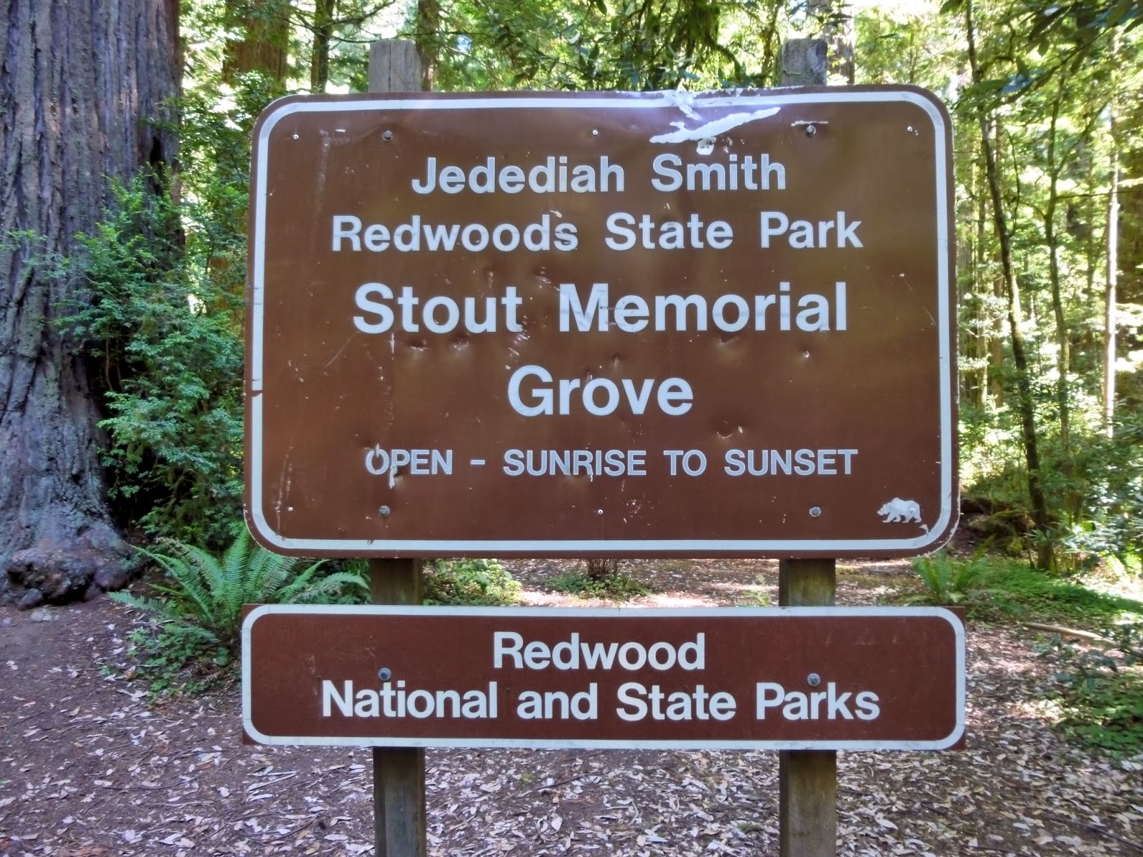 American Travel Journal Stout Memorial Grove Redwood National and State Parks