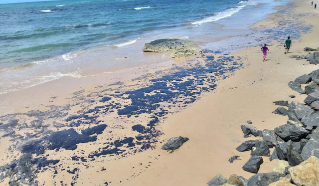 Bahia adere à ação do MPF e MPBA que cobra medidas do governo federal para conter óleo