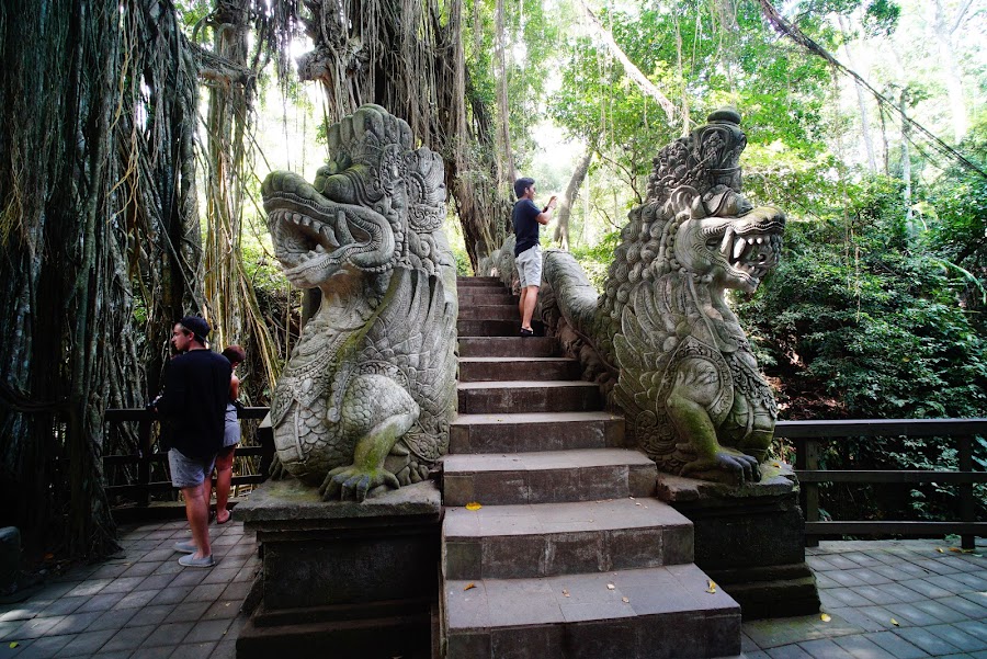 Monkey Forest Ubud, Bali