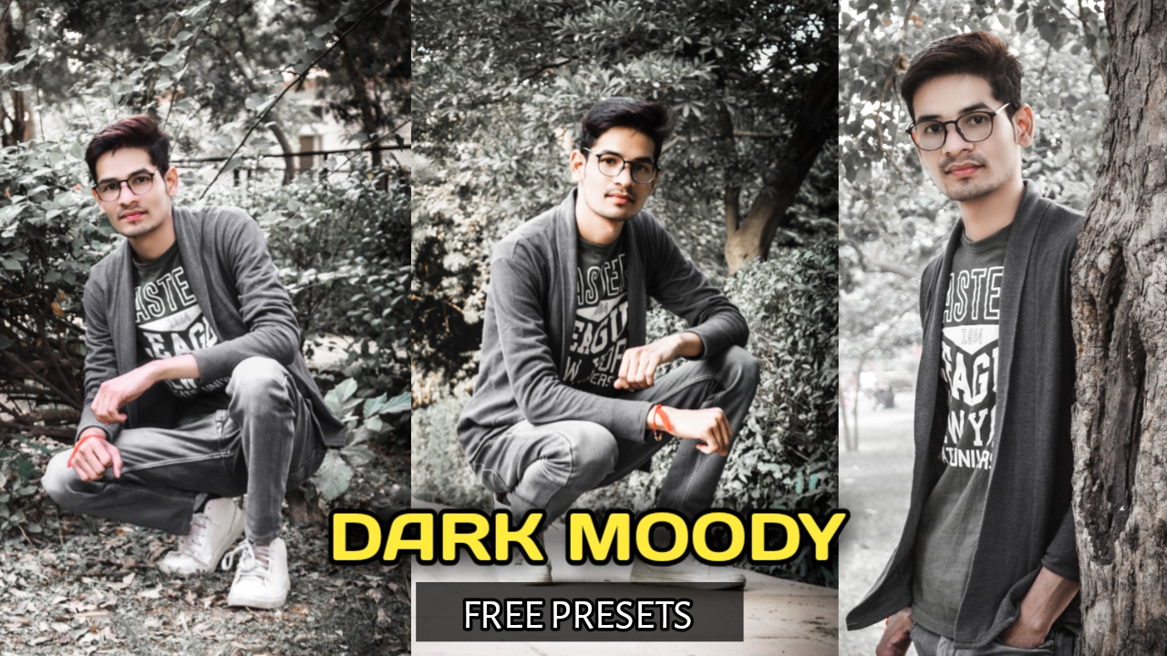 best moody presets for lightroom pirate bay