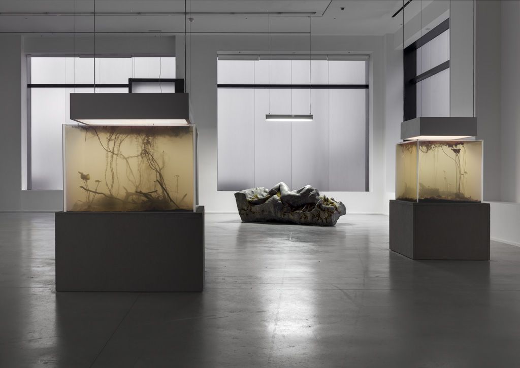 Pierre Huyghe a f a s i a