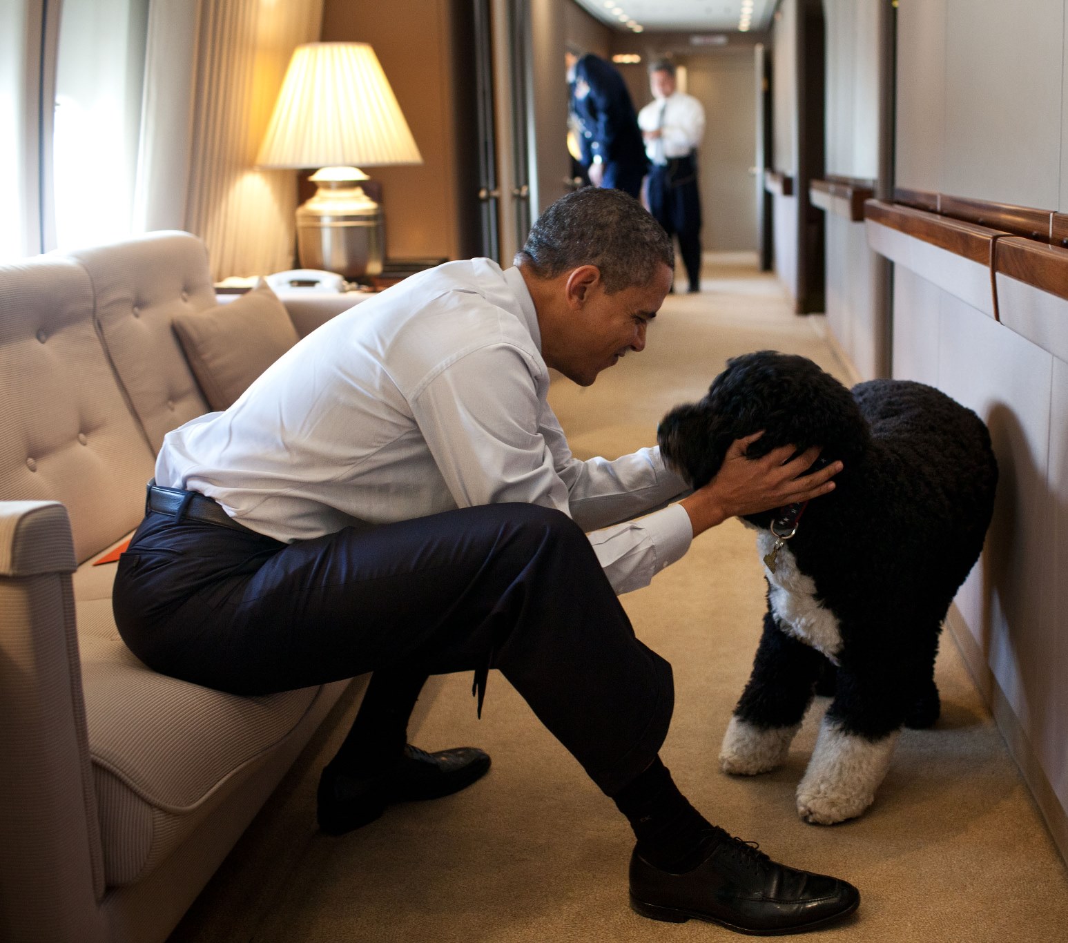 Obama Dog Portuguese Water Dog Dog Pictures