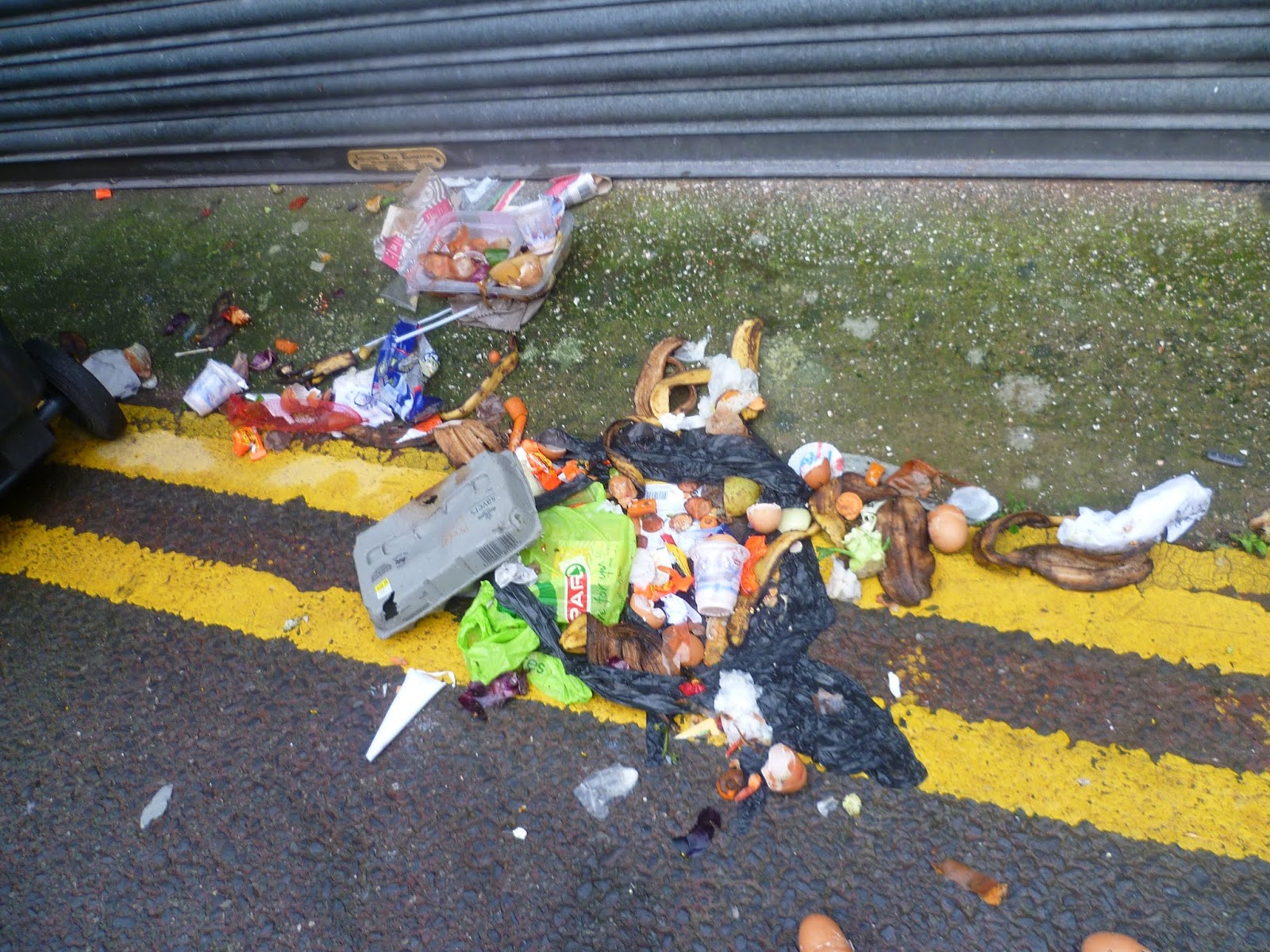 Memoirs Of Conwy Councils Monthly Bin Collections!