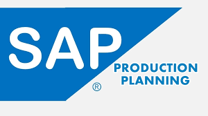 Master Data - Production Planning Module - SAP Implementation