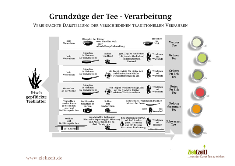 ZiehZeit TeeHerstellungsMethoden im Überblick