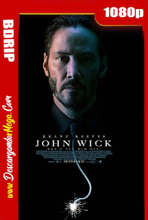 John Wick Otro Día para Matar (2014) BDRip 1080p Latino