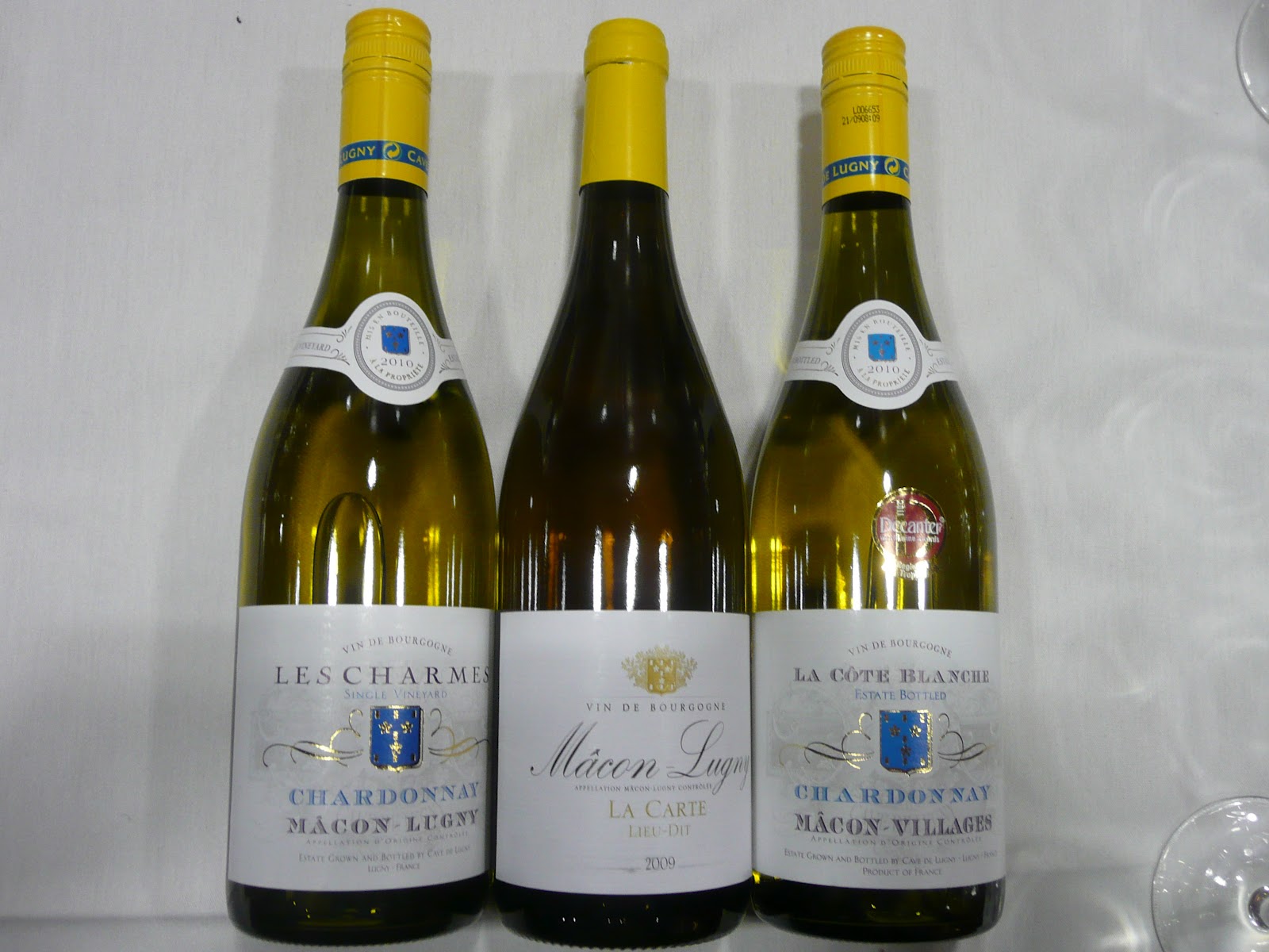 schillerwine Meeting Gregoire Pissot the Winemaker at Cave de Lugny in the Maconnais in