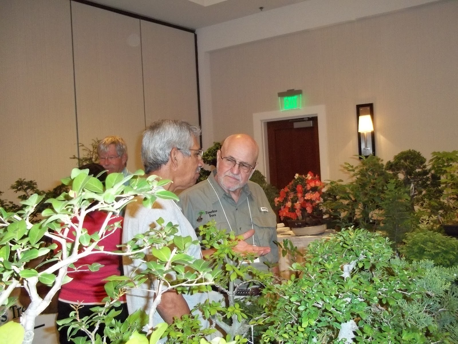 Bent Tree Bonsai Dallas State Bonsai Convention 2012