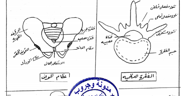 جميع رسومات الاحياء للصف الثالث الثانوي 2019 بخط اليد اعداد الاستاذ عطا مذكرات تعليمية