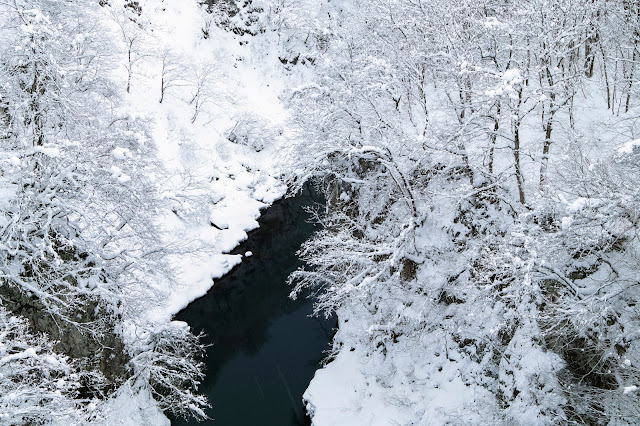 #photo #landscape #sigma #foveon #sdquattroh #japan #yamagata #tsuruoka #写真 #風景写真 #山形帝國 #山形県 #鶴岡市