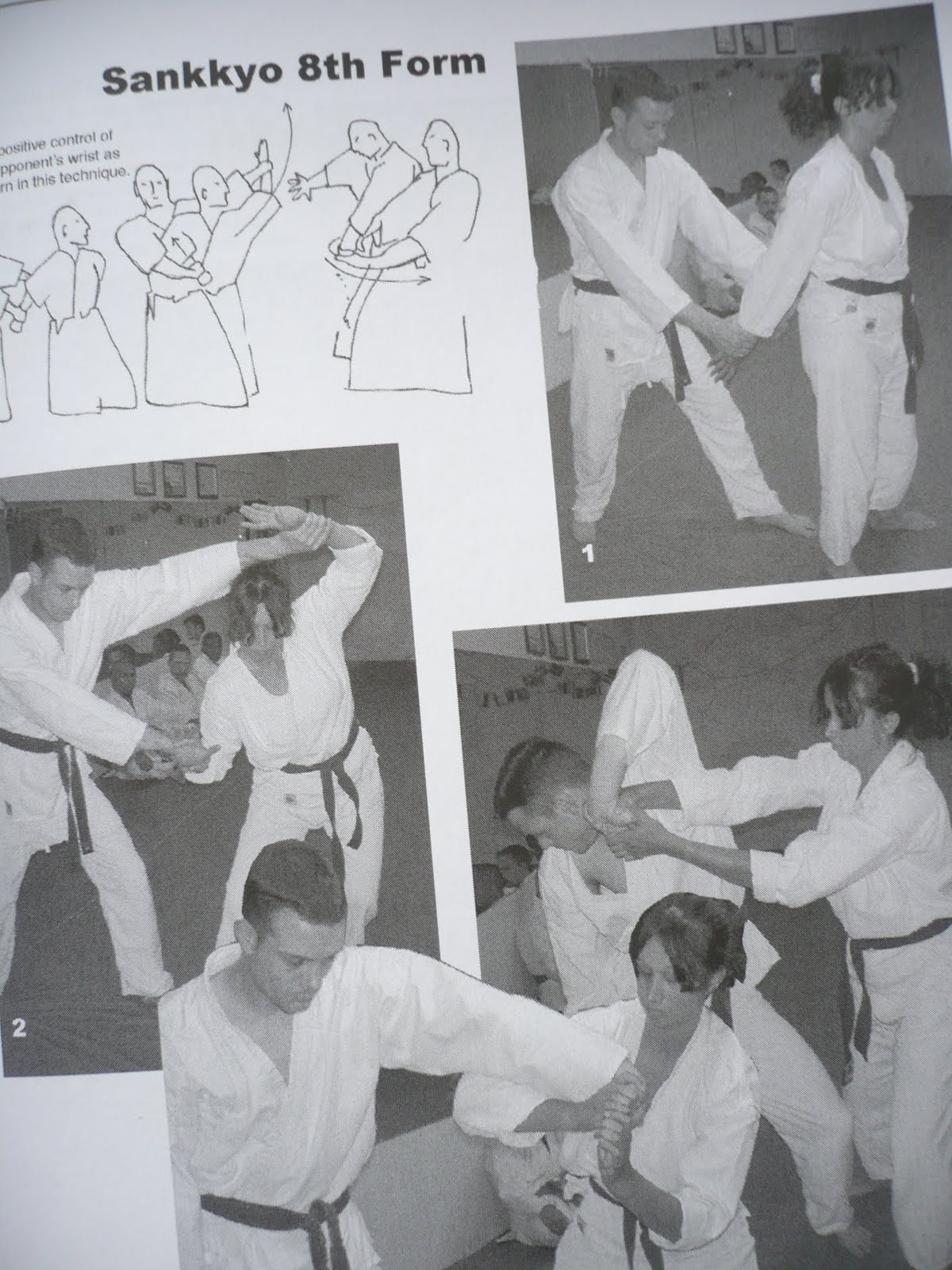 The Traditional Aikido Book  <b>`Positive Aikido` </b>