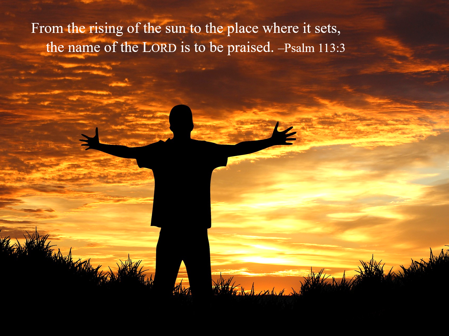 HOW IN THE WORLD I Don t Feel Alive Till I ve Had My Psalm 113 HOW IN THE WORLD I Don t Feel Alive Till I ve Had My Psalm 113