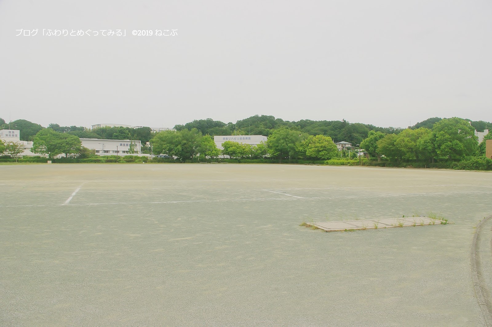 ふわりとめぐってみる あさおふれあいの丘(川崎市麻生区) 水辺で遊べる屋上☆ アート的な構造物 周辺にも緑 ふわりとめぐってみる あさおふれあいの丘(川崎市麻生区) 水辺で遊べる屋上☆ アート的な構造物 周辺にも緑