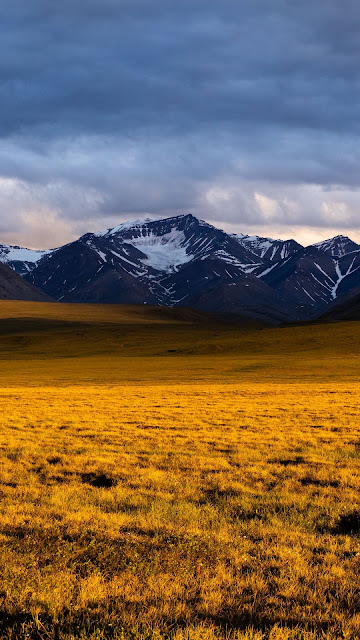 Wallpaper evening, mountain, field, clouds