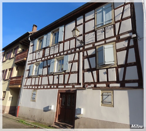 Mitou La Bretonne Soultzbach Les Bains ( Alsace )