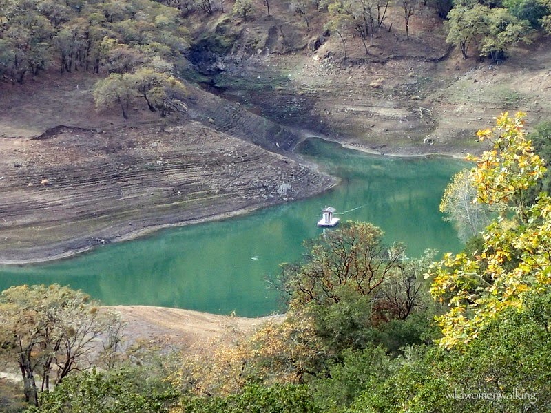 wild women walking Lake Sonoma