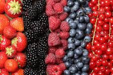 Jenis-Jenis Buah Berry Yang Bermanfaat Bagi Kesehatan