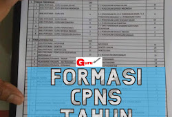 Infocpns Formasi Cpns Lahat 2019 Pdf