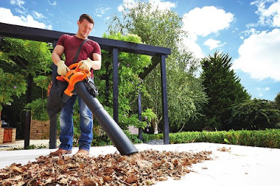 Tips for using a leaf blower in Your Yard