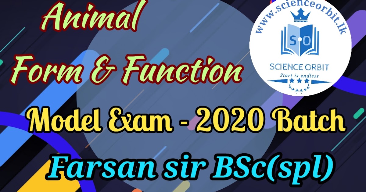 English special batch model test of image