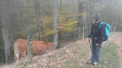 Randonnée Tarn Le Viaur Bea Rando Decouverte