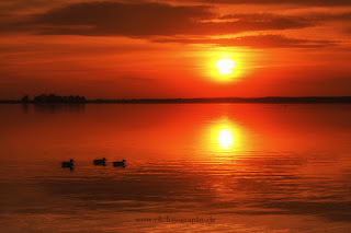 Naturfotografie Landschaftsfotografie Sonnenuntergang Steinhuder Meer