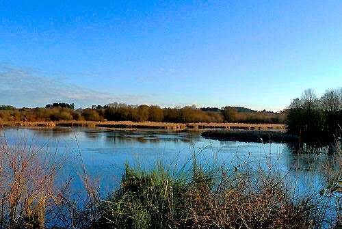 Historias de mi Imaginación La Laguna de Cospeito