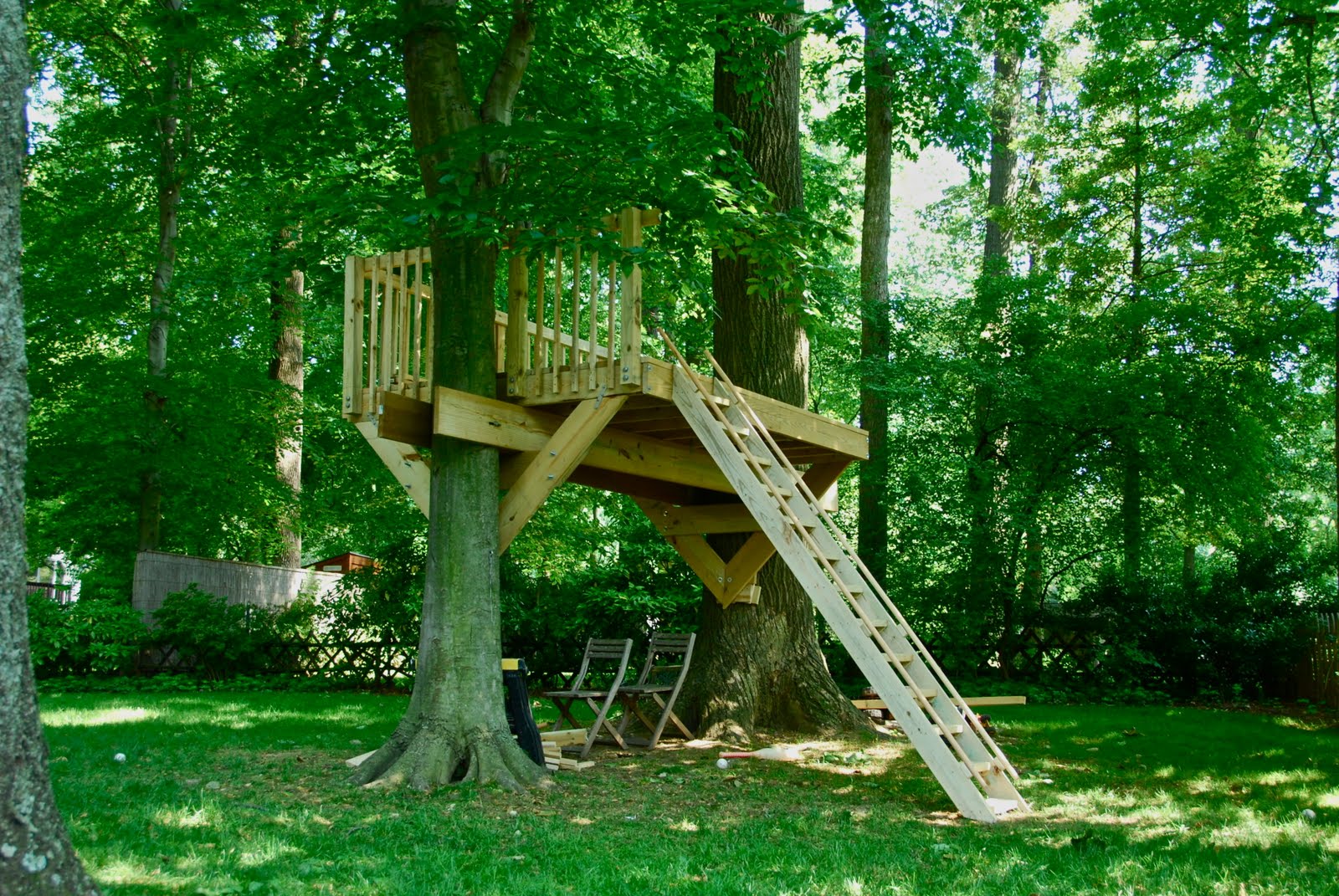 lightailing treehouse