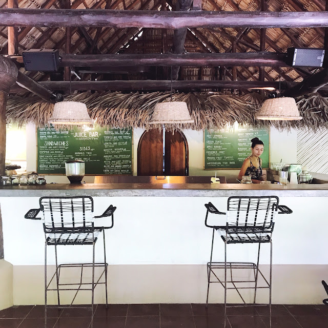 harmony hotel juice bar nosara nosara restaurants