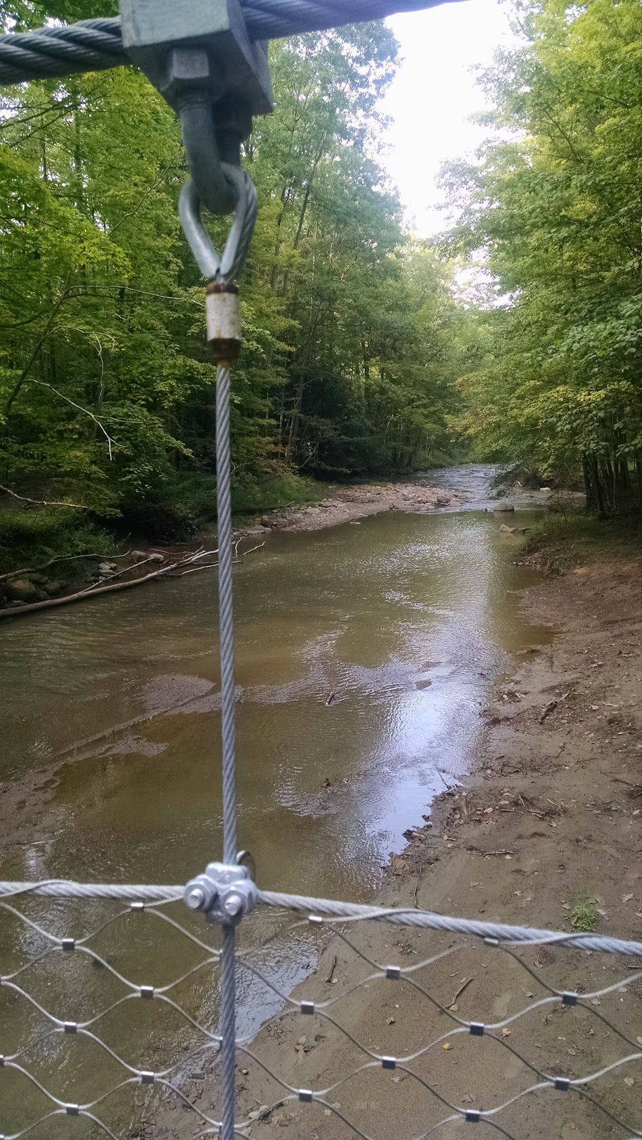 A View from the North Coast New Bridge over Big Creek at Girdled Road